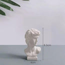 Vaso Hidropônico para Decoração Carpetino